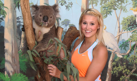 meetakoala